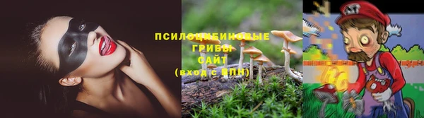 прущие крисы Абинск