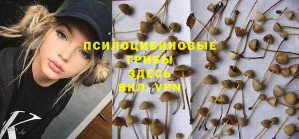 ешки Абаза