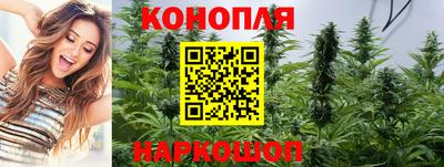 гашик Кулебаки