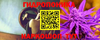 гашик Кулебаки