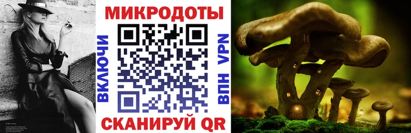 наркотики  Знаменск  Псилоцибиновые грибы мухоморы 