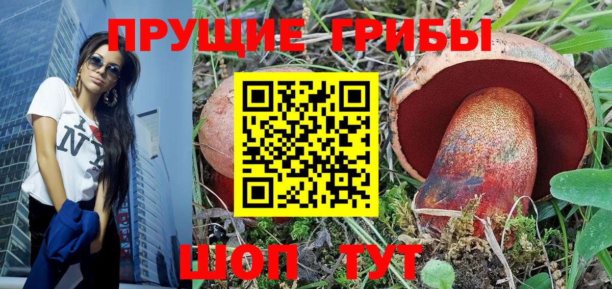 Псилоцибиновые грибы Magic Shrooms  Псилоцибиновые грибы GOLDEN TEACHER  Вход с VPN  Знаменск 